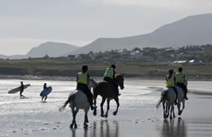 calveys equestrian centre achill island